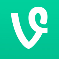 Vine